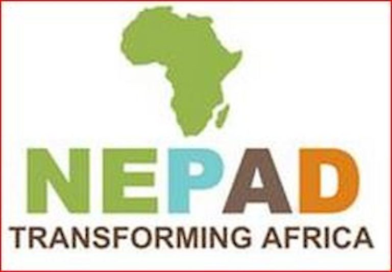 The New Partnership for Africa’s Development (NEPAD) transformation ...